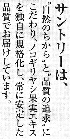 ボディコピー拡大