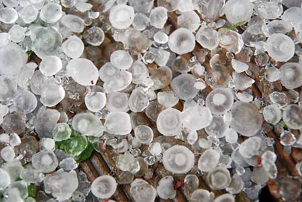 雹には芯がある