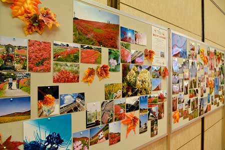 「おかりなまつりinはんだ」写真展示風景