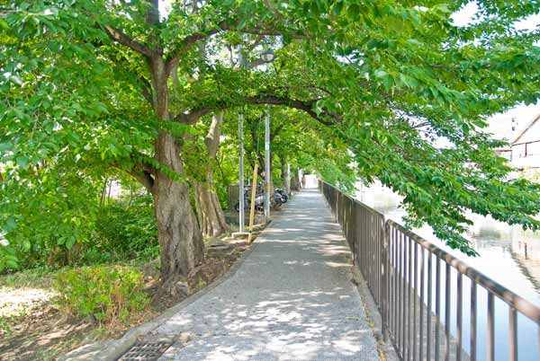 京阪藤森駅前・疎水沿いの道