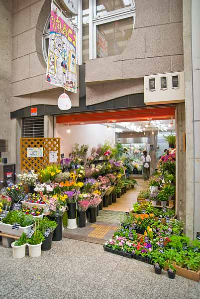 出町枡形商店街・花の春風