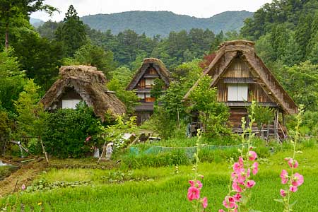 ます園文助・全景