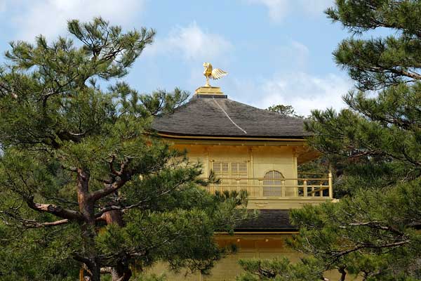 X20・金閣寺