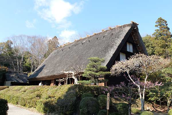 東山植物園・合掌造りの家