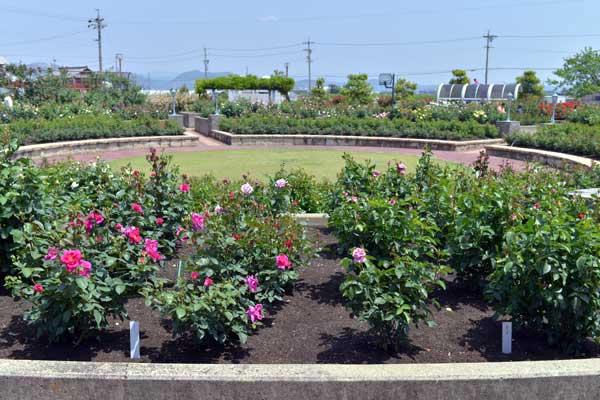 バラ公園