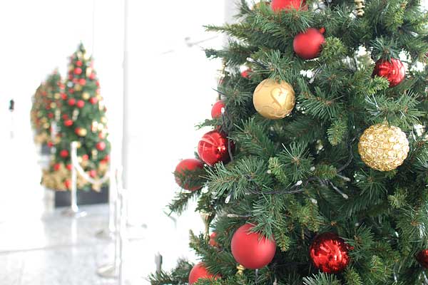 名古屋JRセントラルタワーズ・15階展望室のクリスマスツリー群