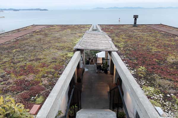 たらその屋根
