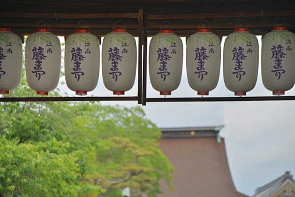 江南藤まつり