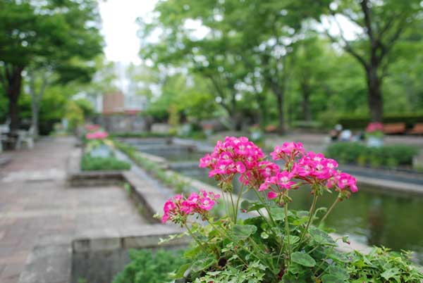 春日井市都市緑化植物園の園庭
