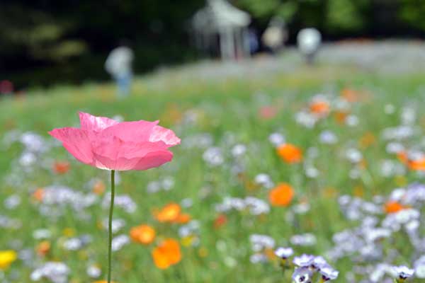 名古屋市某公園