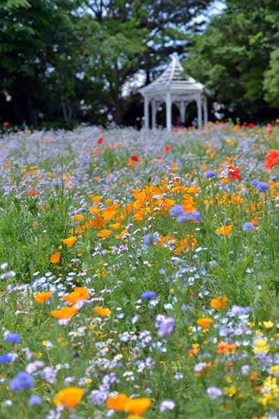 名古屋市某公園