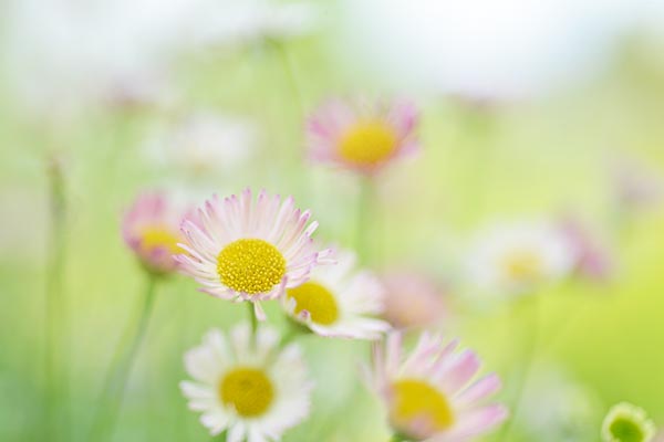 名古屋市某公園