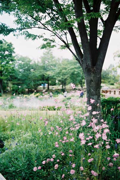 名古屋市某公園