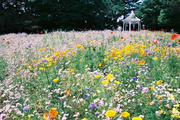名古屋市某公園