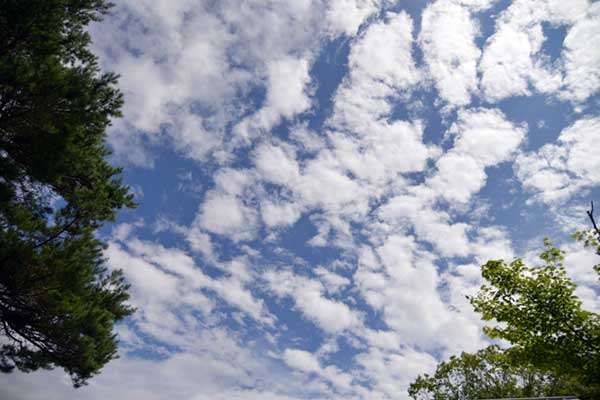 タリアセンの青空