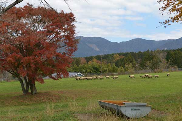 中津川ふれあい牧場