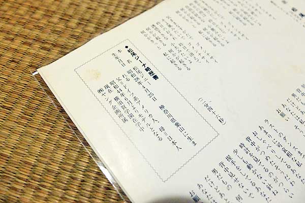 松尾ジーナ略歴書