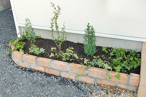 花壇植え込み後