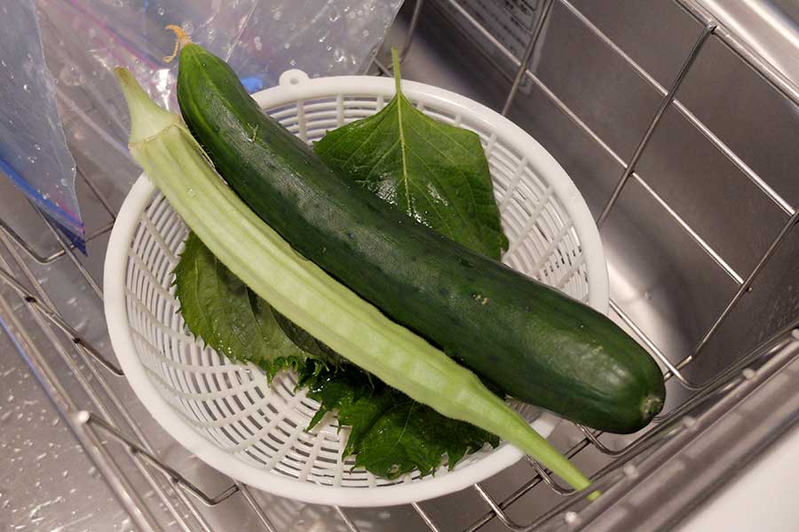 収穫した野菜