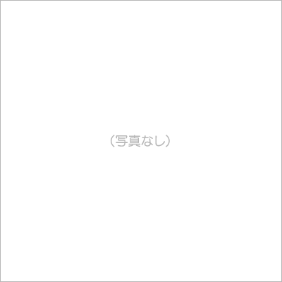 写真なし
