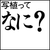 写植ってなに？