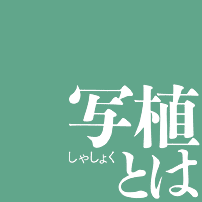 写植（写真植字）とは