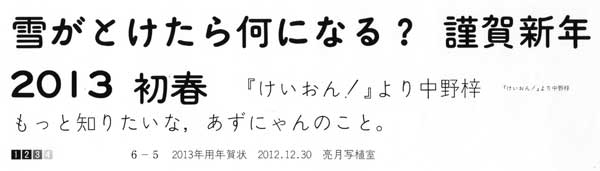 2013NEʐÄ