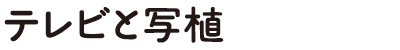 テレビと写植