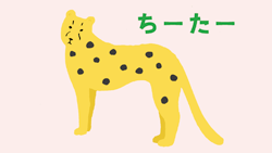 『うかたま』表紙