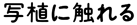 ʐAɐG