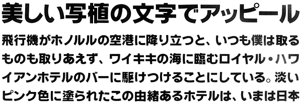 アローG見本