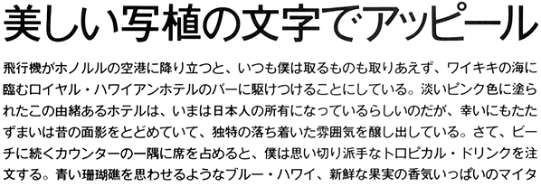 ツデイ見本