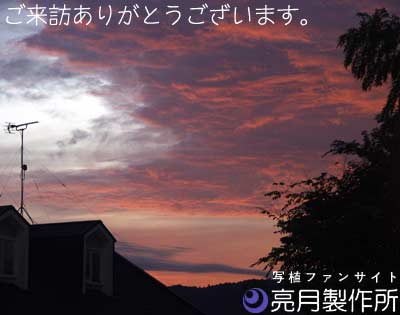 よあけ